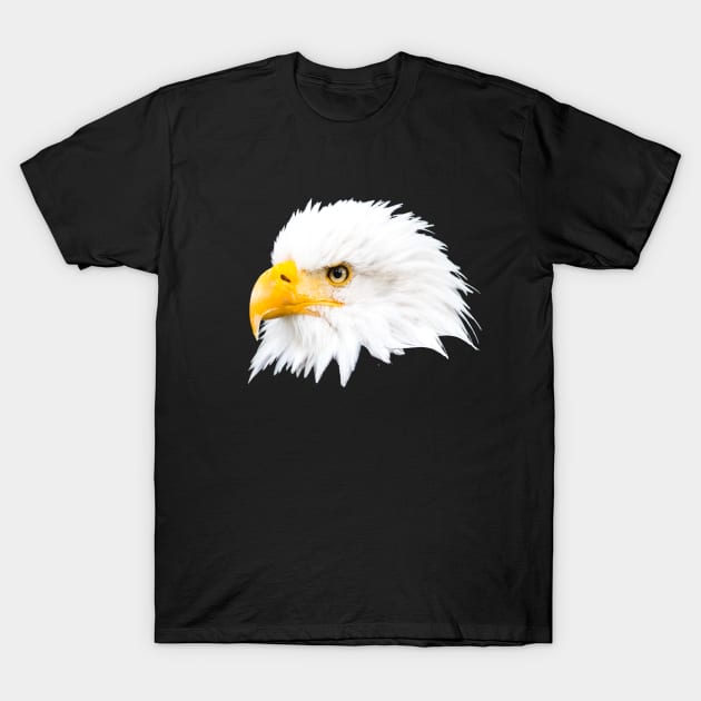 Bald eagle T-Shirt by Naturelovers